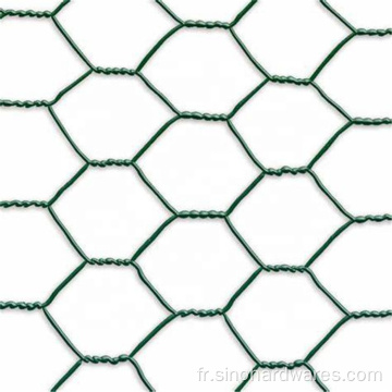 Poulet Hexagonal Wire Mesh roule